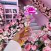 Ornaments |   5Pc Colorful  Rose Artificial Flower Unique Gifts For Girls Ornaments multicolor