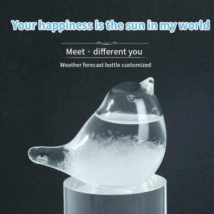 Statues & Sculptures |   Glass Weather Forecaster Liquid Barometer Predictor Desktop Weather Glass 30Ml Statues & Sculptures as the picture