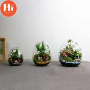 Statues & Sculptures |   Hi Egg-Shaped Creative Succulent Glass Vase Home Decoration Glass Bottles Micro Landscape Glass Statues & Sculptures as the picture