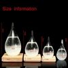 Statues & Sculptures |   Home Decor Weather Forecast Bottle Creative Teardrop Shaped Storm Glass Statues & Sculptures Statues & Sculptures