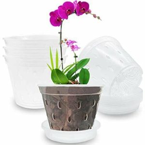 Vases |   1/5Pcs Orchid Pots Clear Container Indoor Outodoor Vases Vases