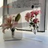 Vases |   Flower Vase Nordic Style Aesthetics Elegant Ins Attractive Decorative Acrylic Desktop Plant Holder Decor Living Room Vases blue