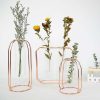 Vases |   Glass Tube Plant Pot Hanging Vase Metal Stand Flower Bottle Container Hydroponic Container Terrarium Vases gold