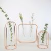 Vases |   Glass Tube Plant Pot Hanging Vase Metal Stand Flower Bottle Container Hydroponic Container Terrarium Vases gold