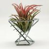 Vases |   Practical Fern Plant Stand Ornamental Anti-Corrosion Compact Vases golden