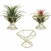 Vases |   Practical Fern Plant Stand Ornamental Anti-Corrosion Compact Vases golden