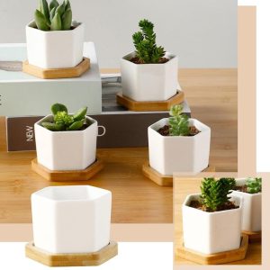 Vases |   (Qunide) Hexagonal Succulent Planter With Tray White Mini Ceramic Planter Vases Vases