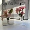 Vases |   Transparent Flower Vase Attractive Creative Desktop Plant Holder Decor Vases blue