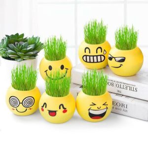 Vases |   1 Pcs Home Decor Grass Head Doll Diy Plant For Children Indoor Garden Balcony Planting Vase Flower Pot Toy Gift Vases as the picture