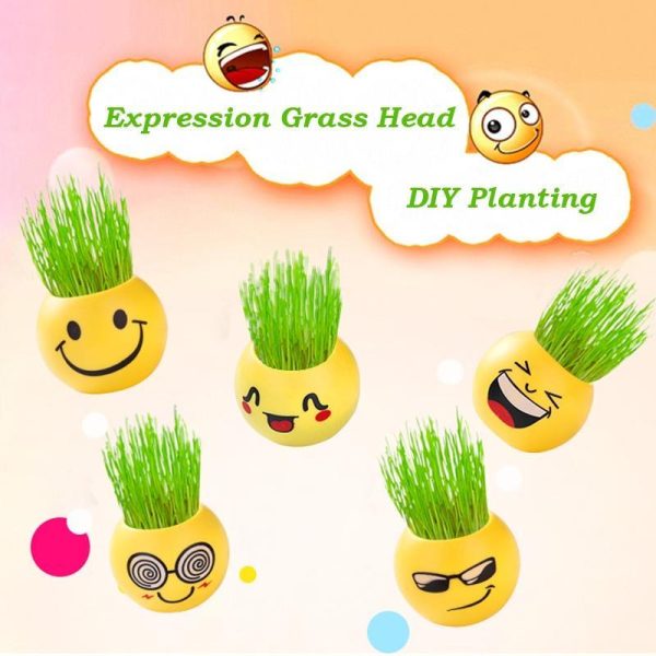 Vases |   1 Pcs Home Decor Grass Head Doll Diy Plant For Children Indoor Garden Balcony Planting Vase Flower Pot Toy Gift Vases as the picture