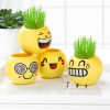 Vases |   1 Pcs Home Decor Grass Head Doll Diy Plant For Children Indoor Garden Balcony Planting Vase Flower Pot Toy Gift Vases as the picture