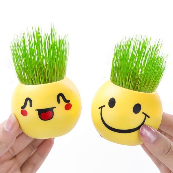 Vases |   1 Pcs Home Decor Grass Head Doll Diy Plant For Children Indoor Garden Balcony Planting Vase Flower Pot Toy Gift Vases as the picture