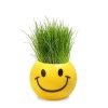 Vases |   1 Pcs Home Decor Grass Head Doll Diy Plant For Children Indoor Garden Balcony Planting Vase Flower Pot Toy Gift Vases as the picture